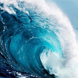 Meet your Posher, Natasha